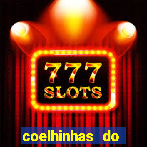 coelhinhas do brasil jp